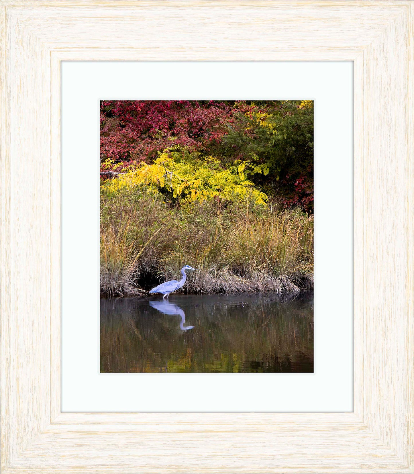 Cadle Creek Heron (Portrait) -- Digital Print