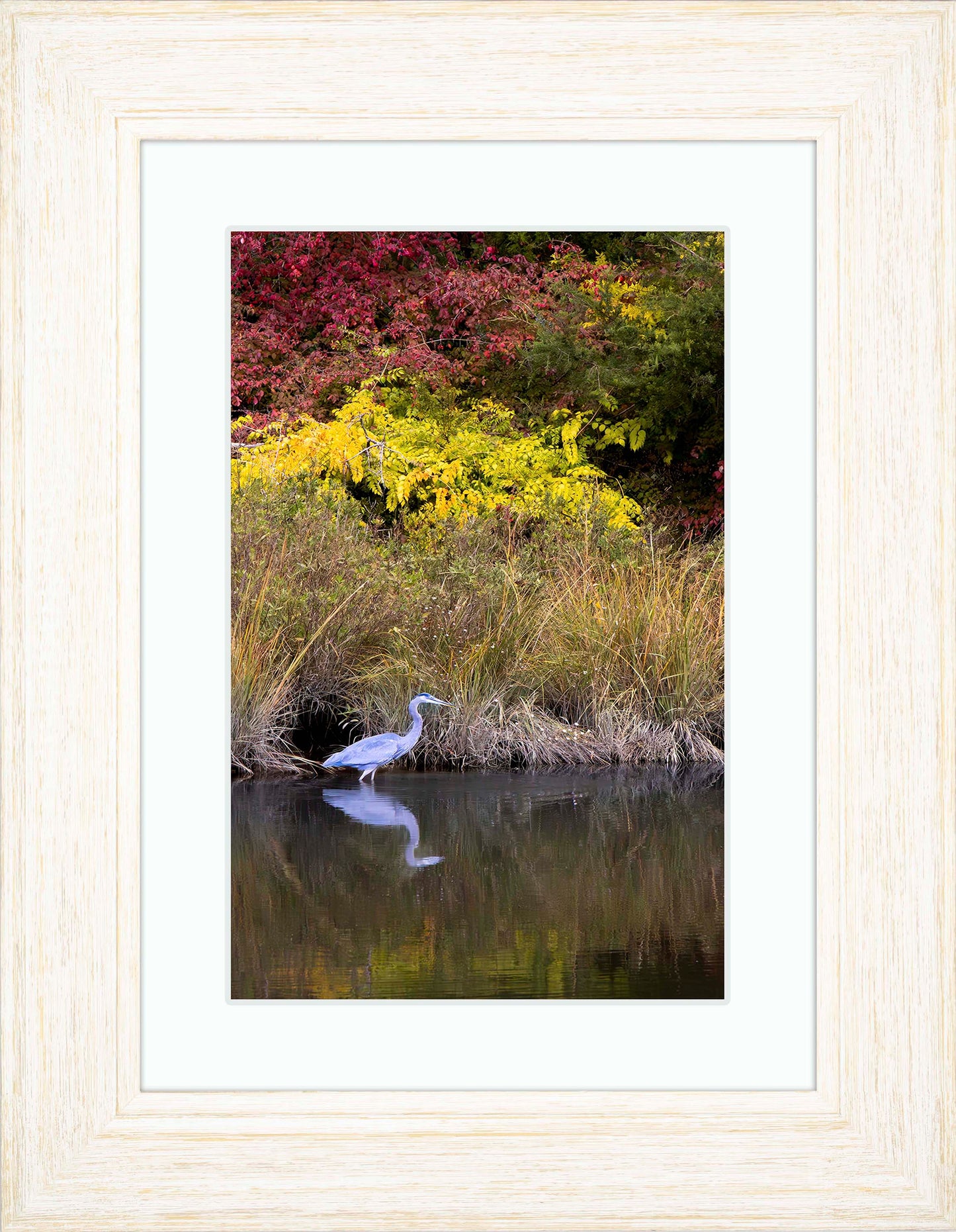 Cadle Creek Heron (Portrait) -- Digital Print