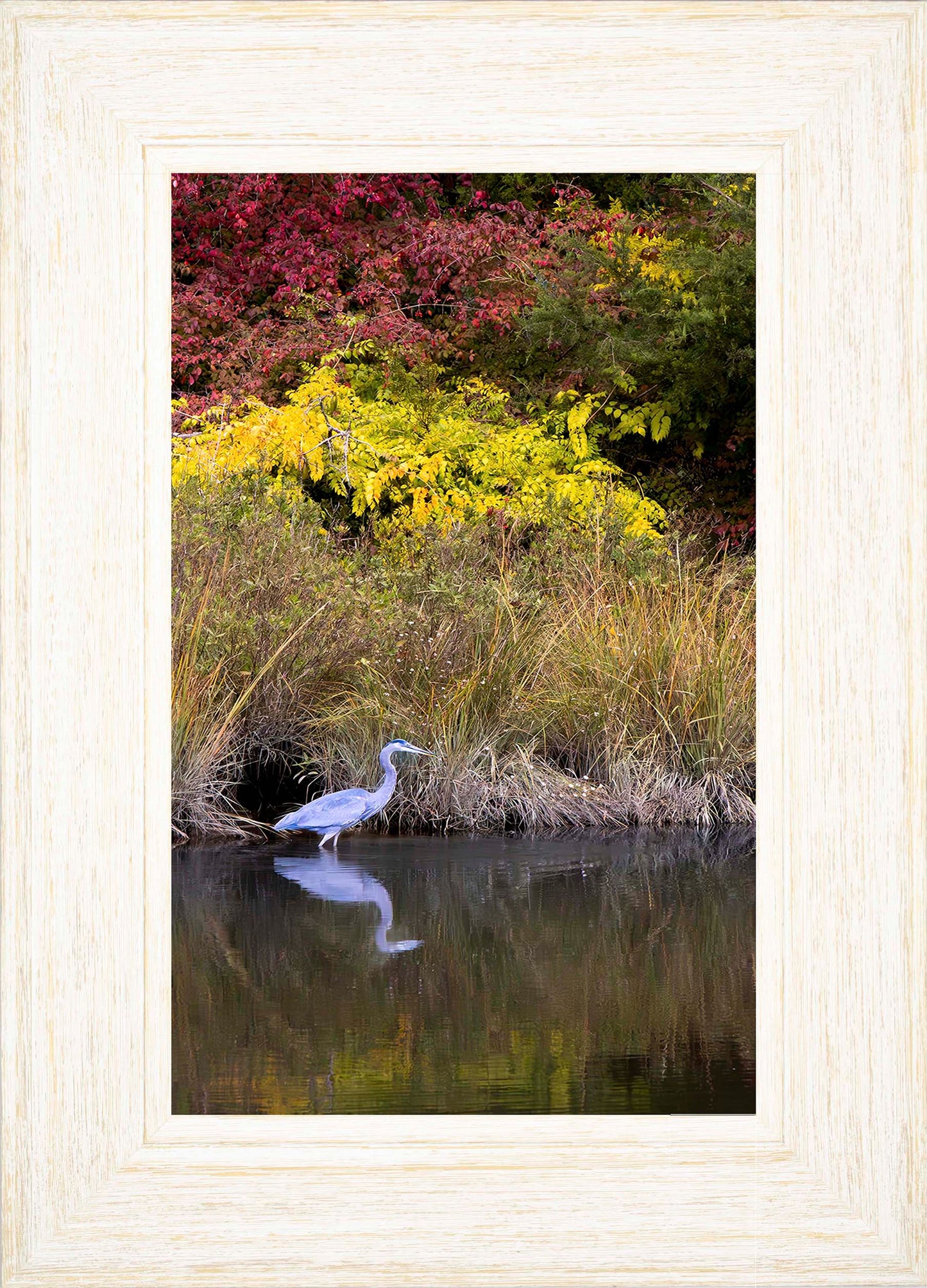Cadle Creek Heron (Portrait) -- Digital Print