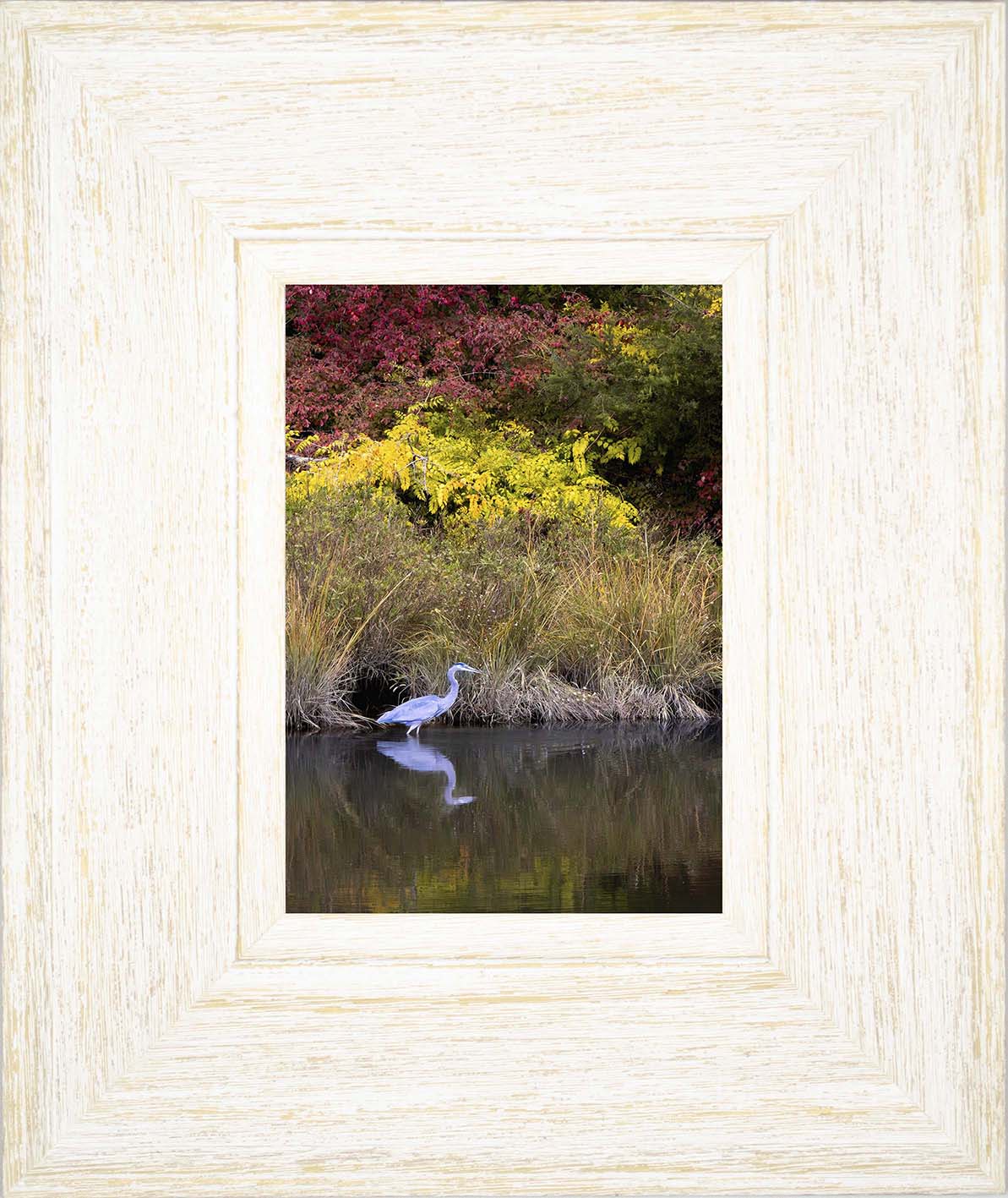 Cadle Creek Heron (Portrait) -- Digital Print