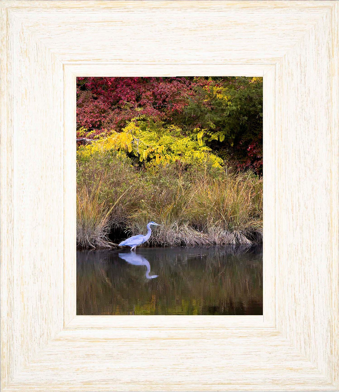 Cadle Creek Heron (Portrait) -- Digital Print