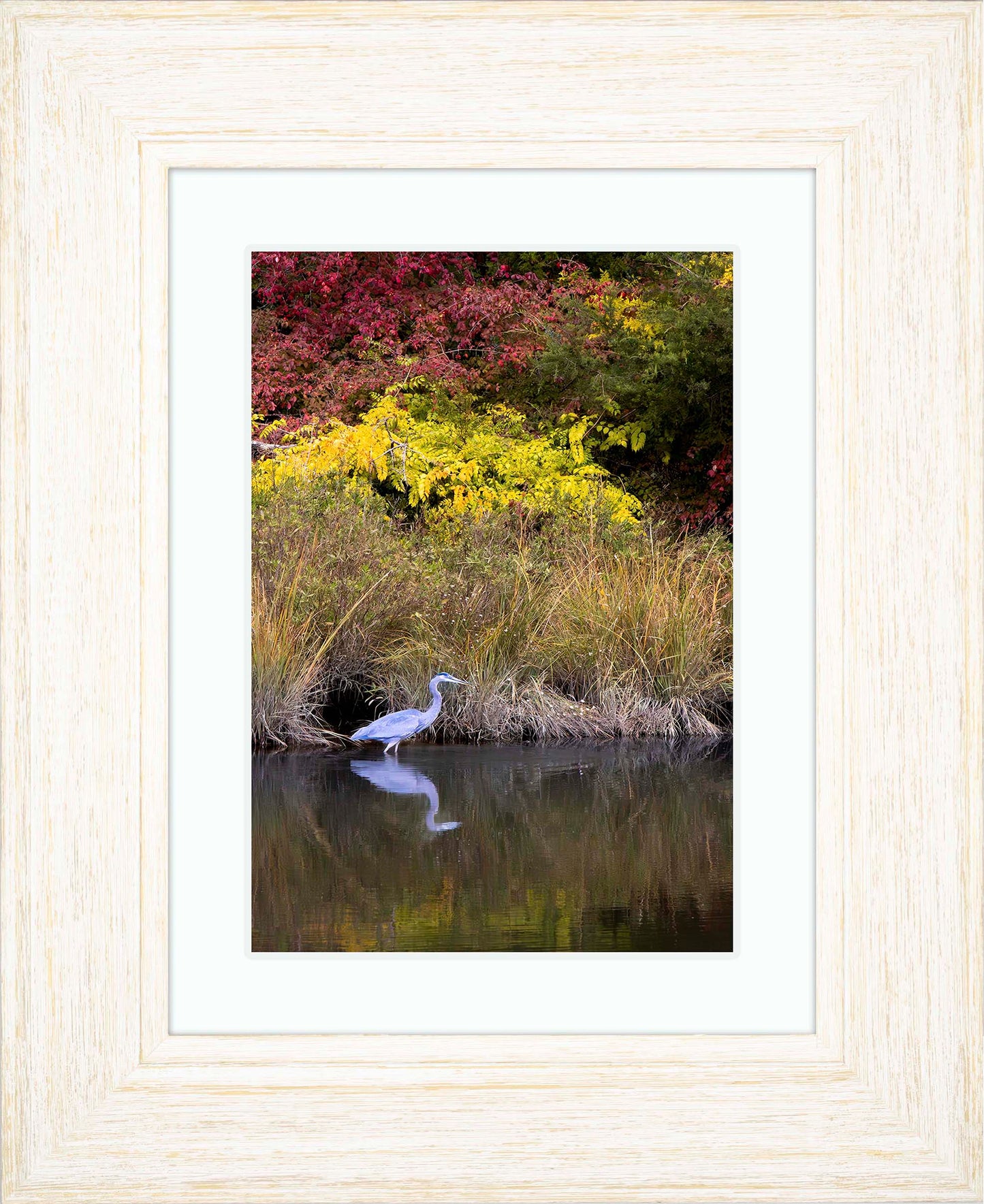 Cadle Creek Heron (Portrait) -- Digital Print