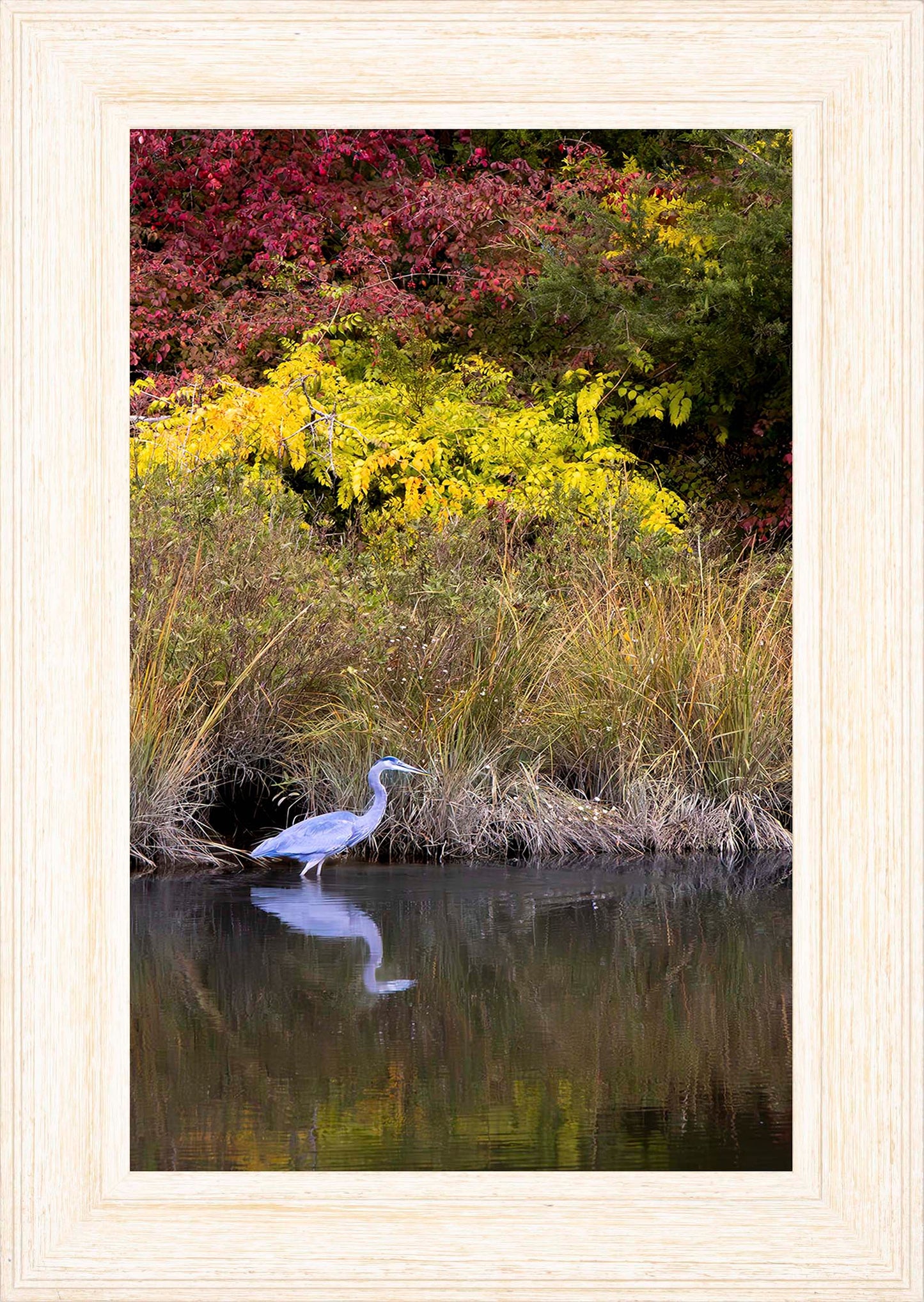 Cadle Creek Heron (Portrait) -- Digital Print