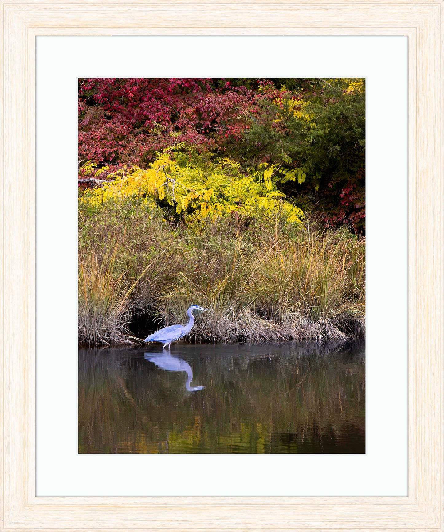 Cadle Creek Heron (Portrait) -- Digital Print