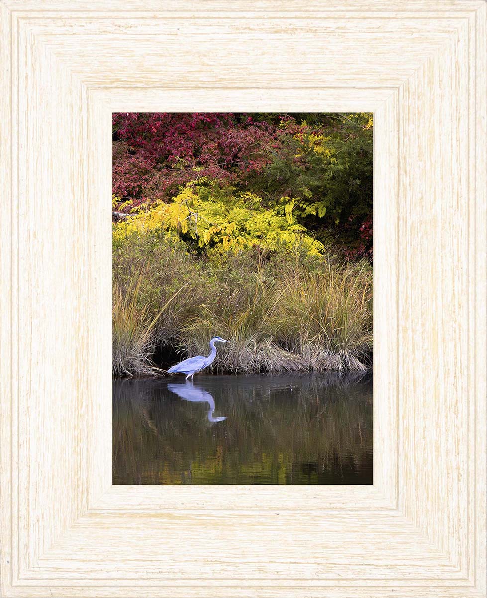 Cadle Creek Heron (Portrait) -- Digital Print