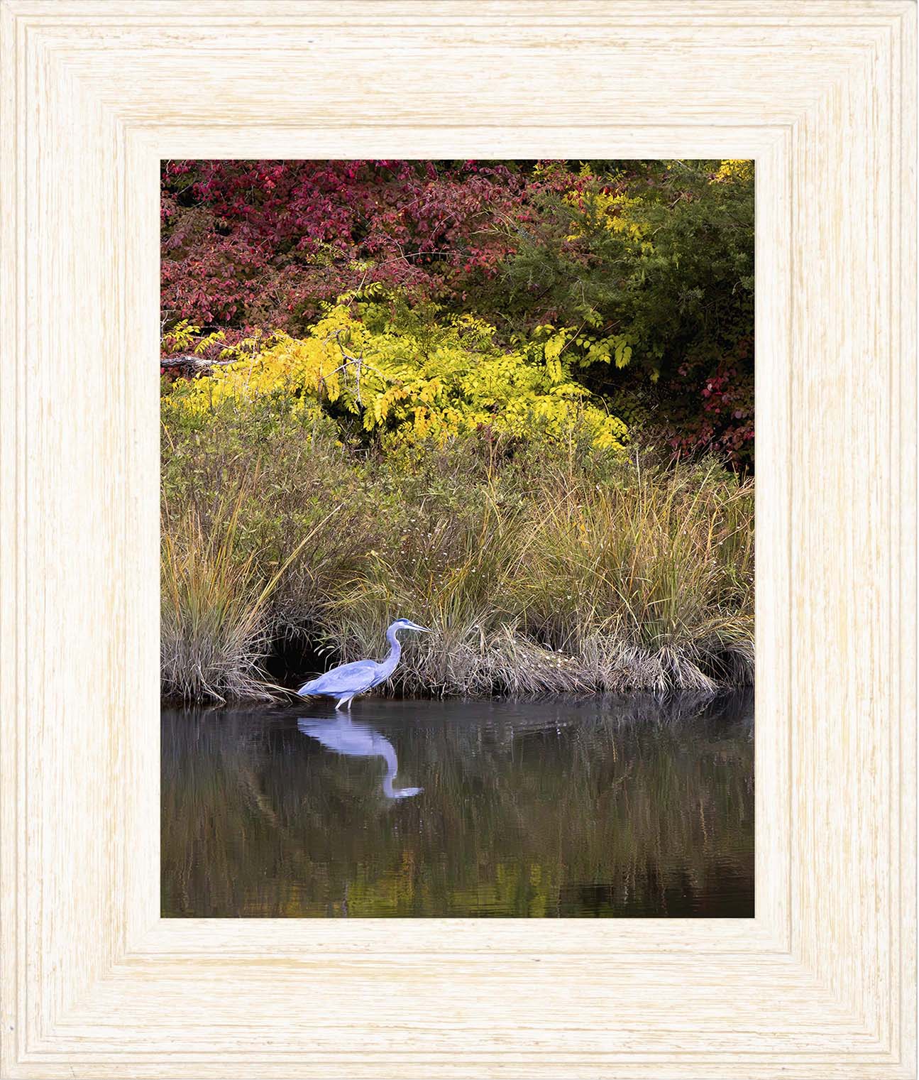 Cadle Creek Heron (Portrait) -- Digital Print