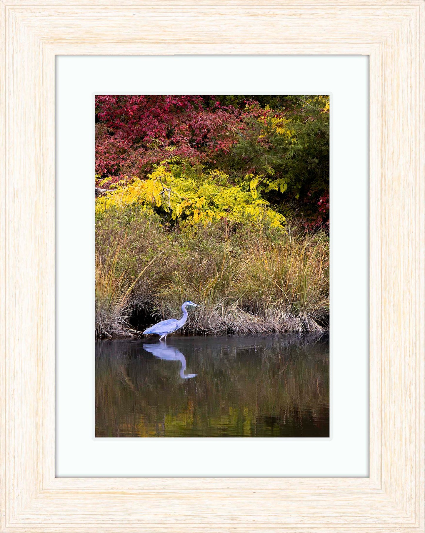 Cadle Creek Heron (Portrait) -- Digital Print
