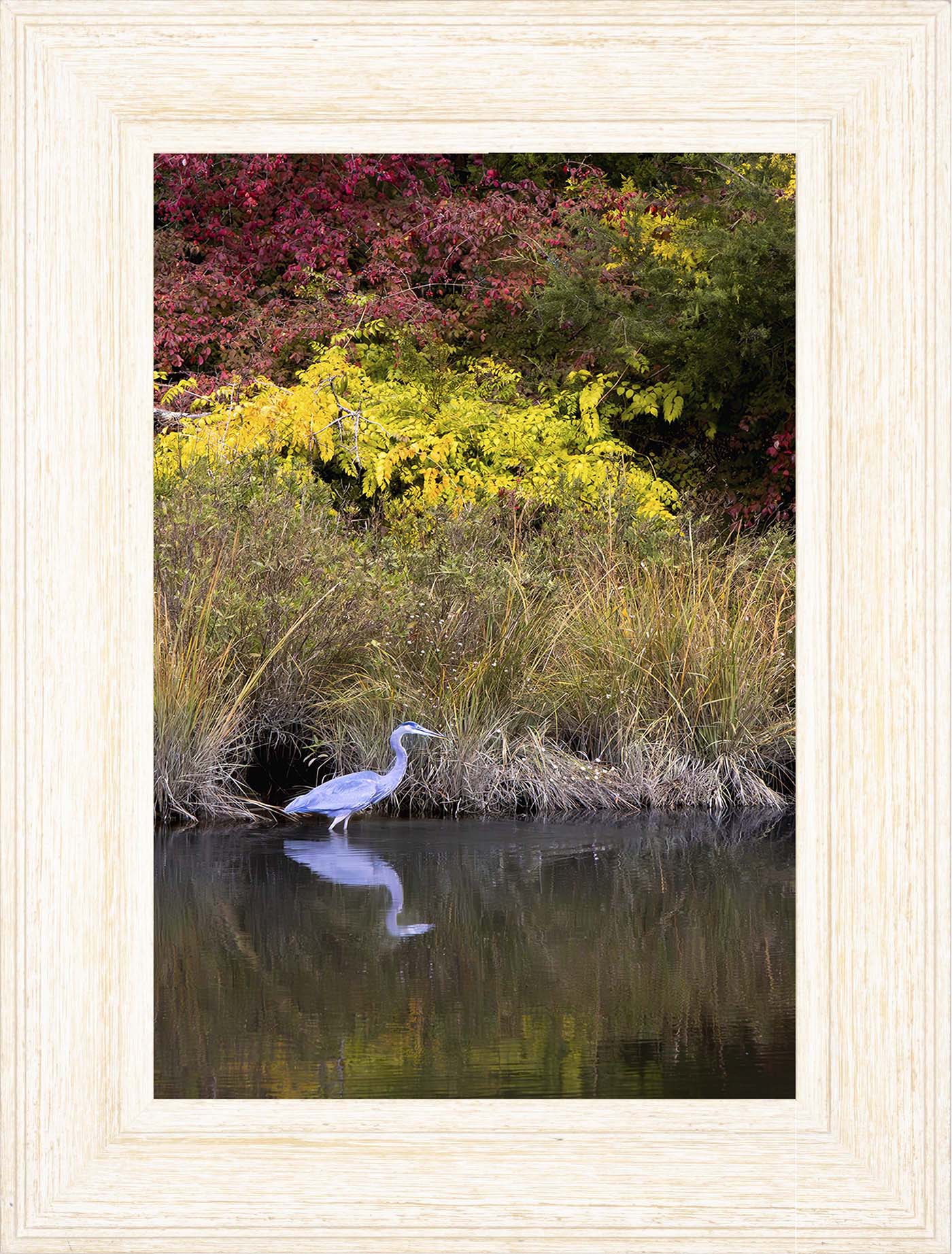Cadle Creek Heron (Portrait) -- Digital Print
