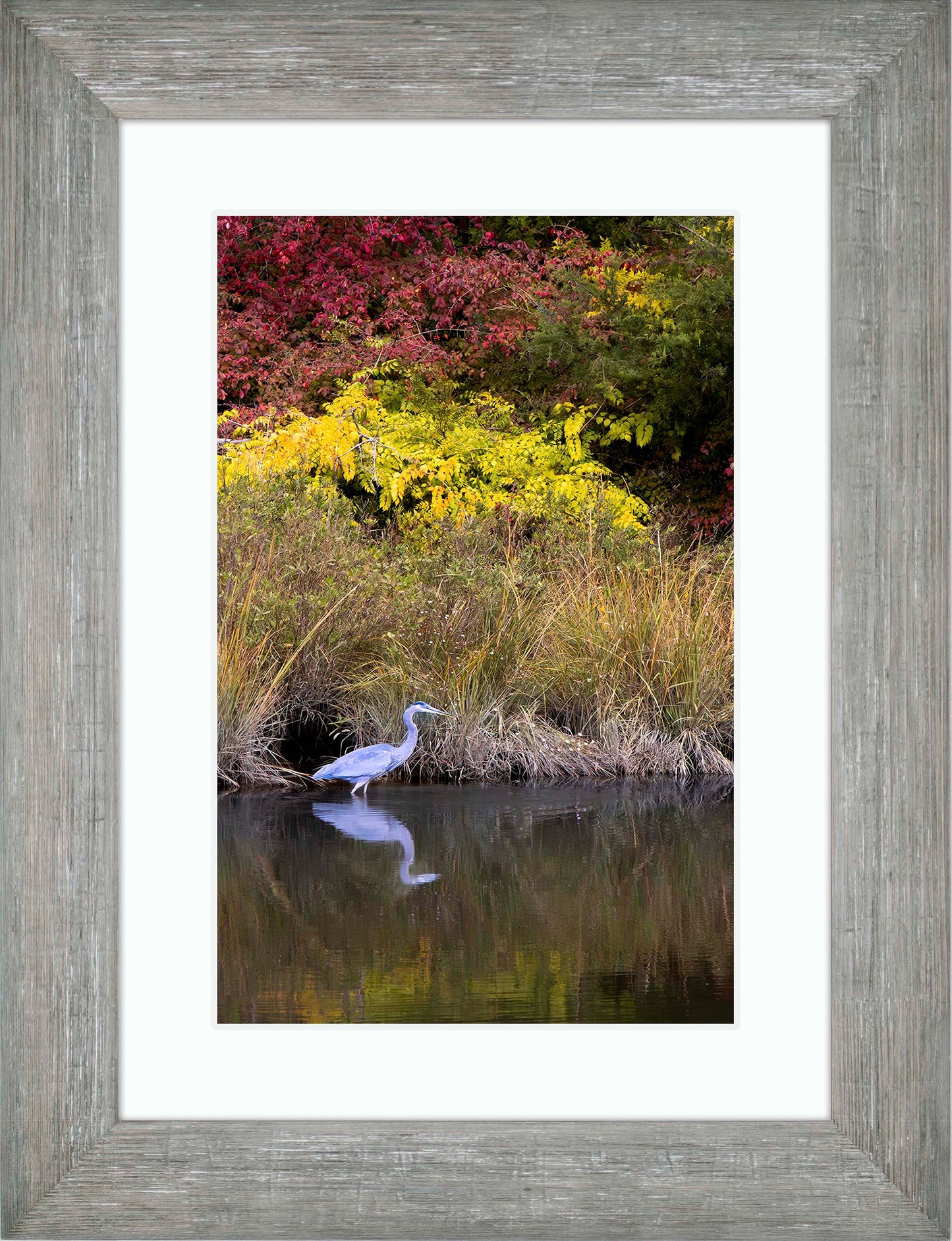 Cadle Creek Heron (Portrait) -- Digital Print