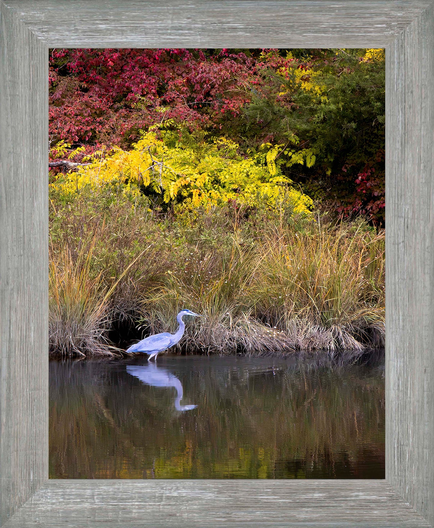 Cadle Creek Heron (Portrait) -- Digital Print