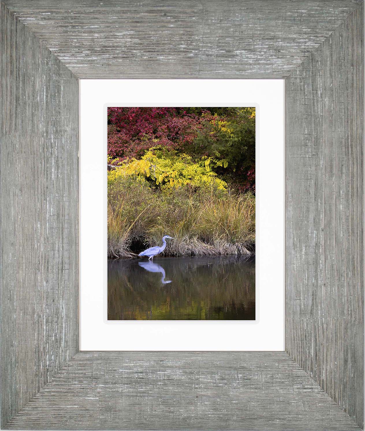 Cadle Creek Heron (Portrait) -- Digital Print