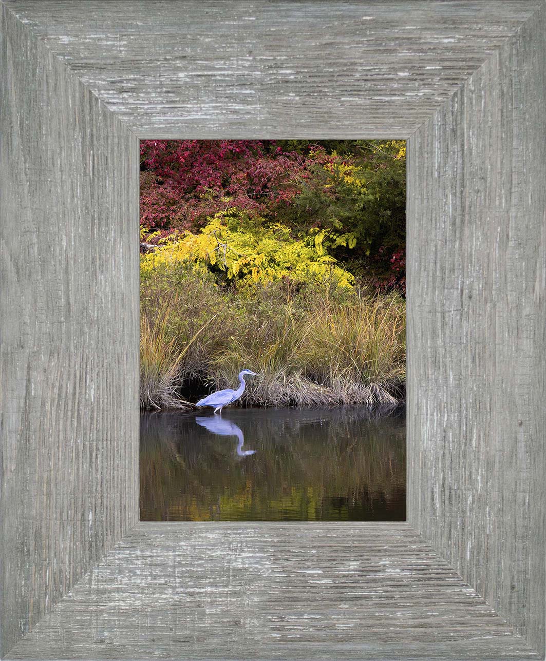 Cadle Creek Heron (Portrait) -- Digital Print