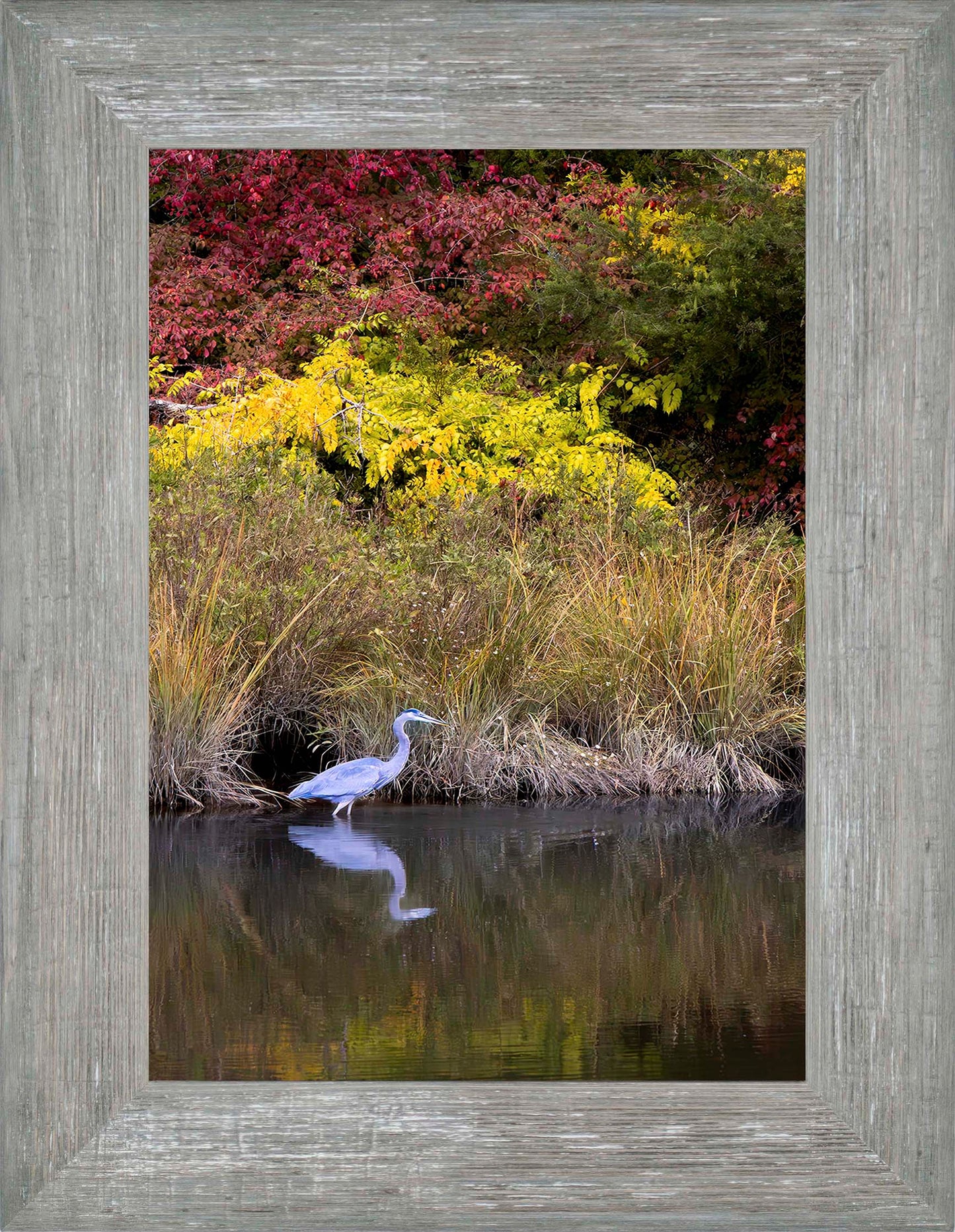 Cadle Creek Heron (Portrait) -- Digital Print