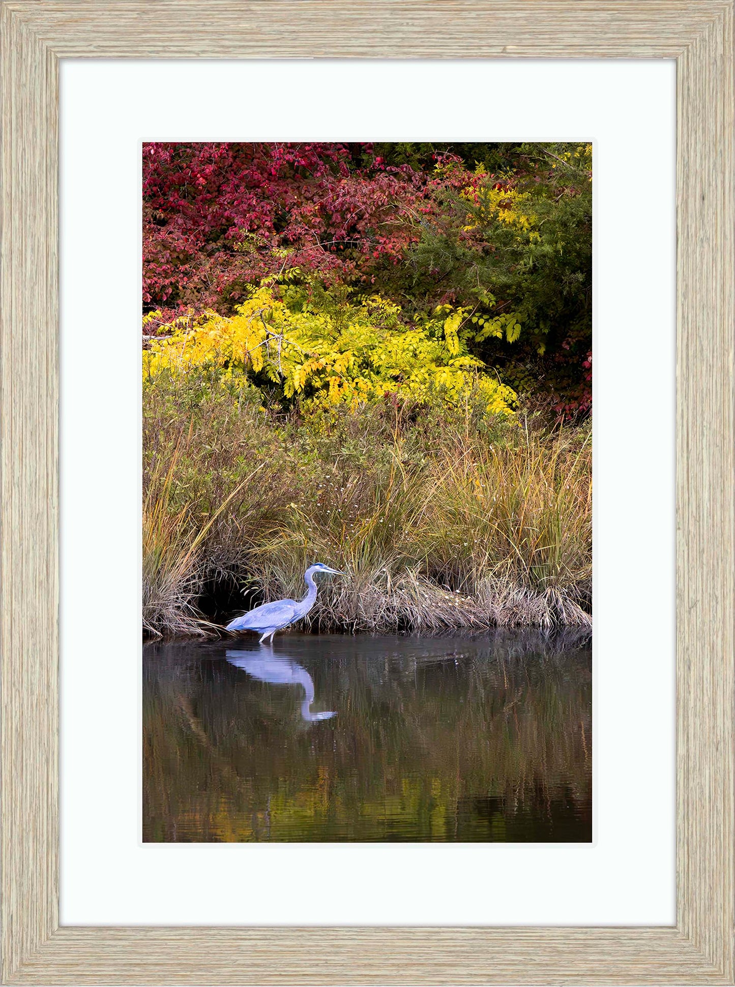 Cadle Creek Heron (Portrait) -- Digital Print