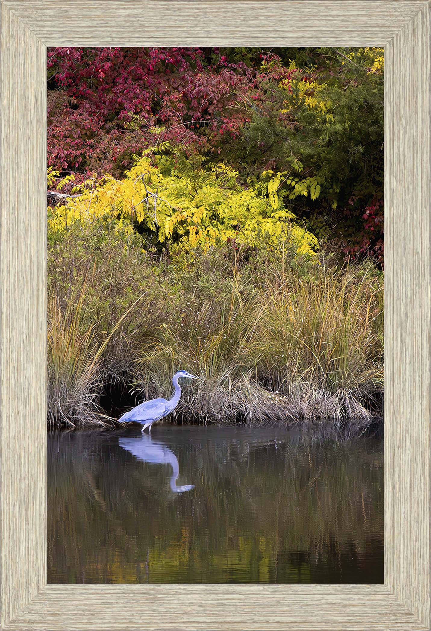 Cadle Creek Heron (Portrait) -- Digital Print
