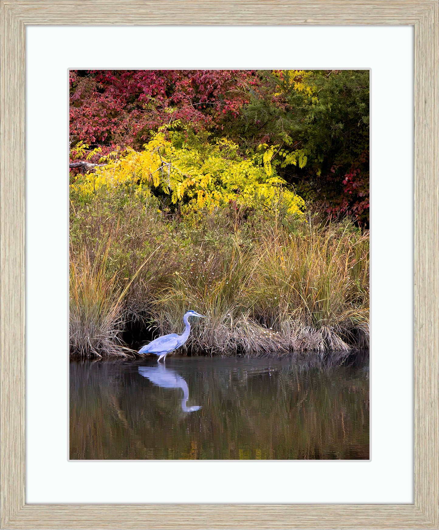 Cadle Creek Heron (Portrait) -- Digital Print