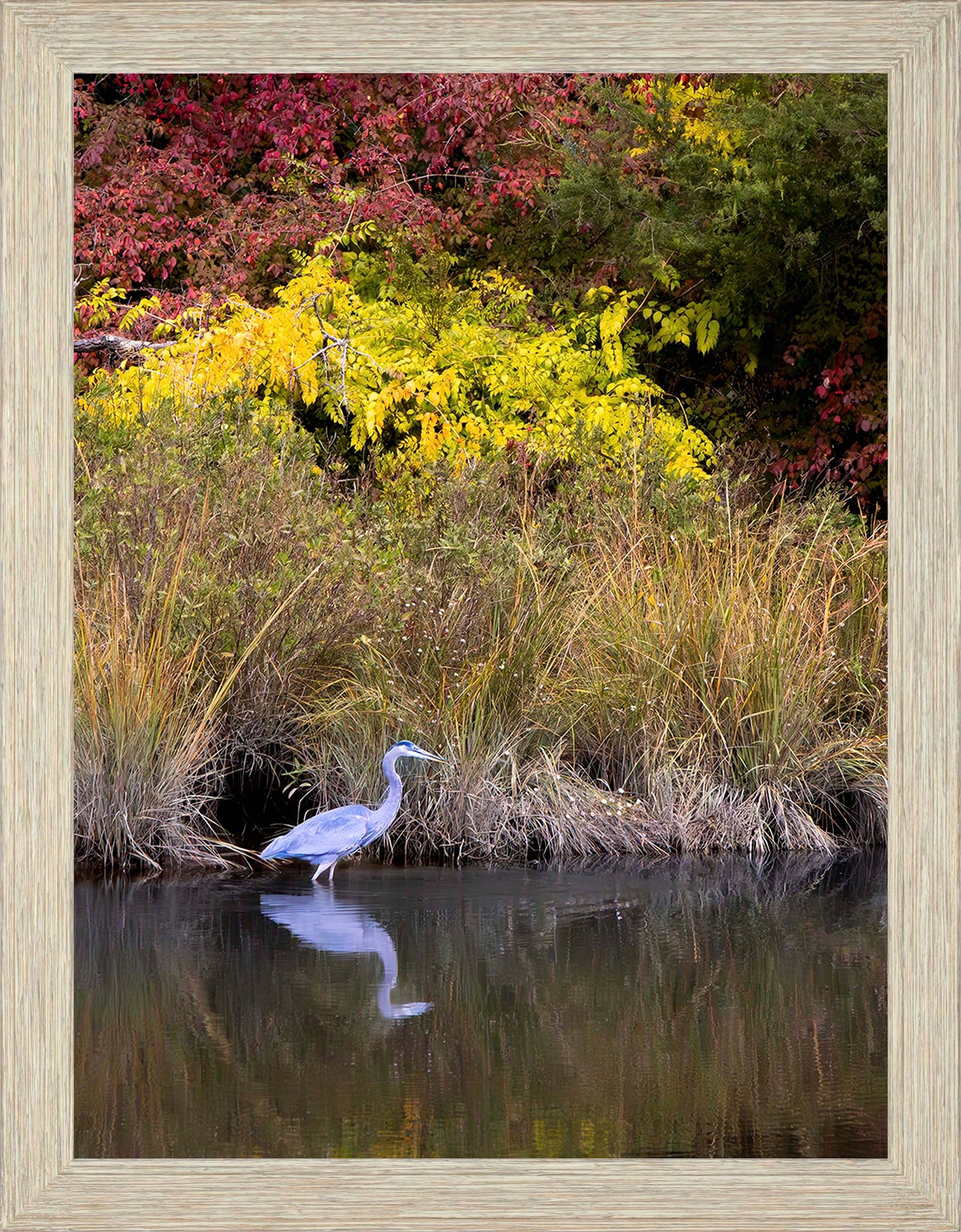 Cadle Creek Heron (Portrait) -- Digital Print