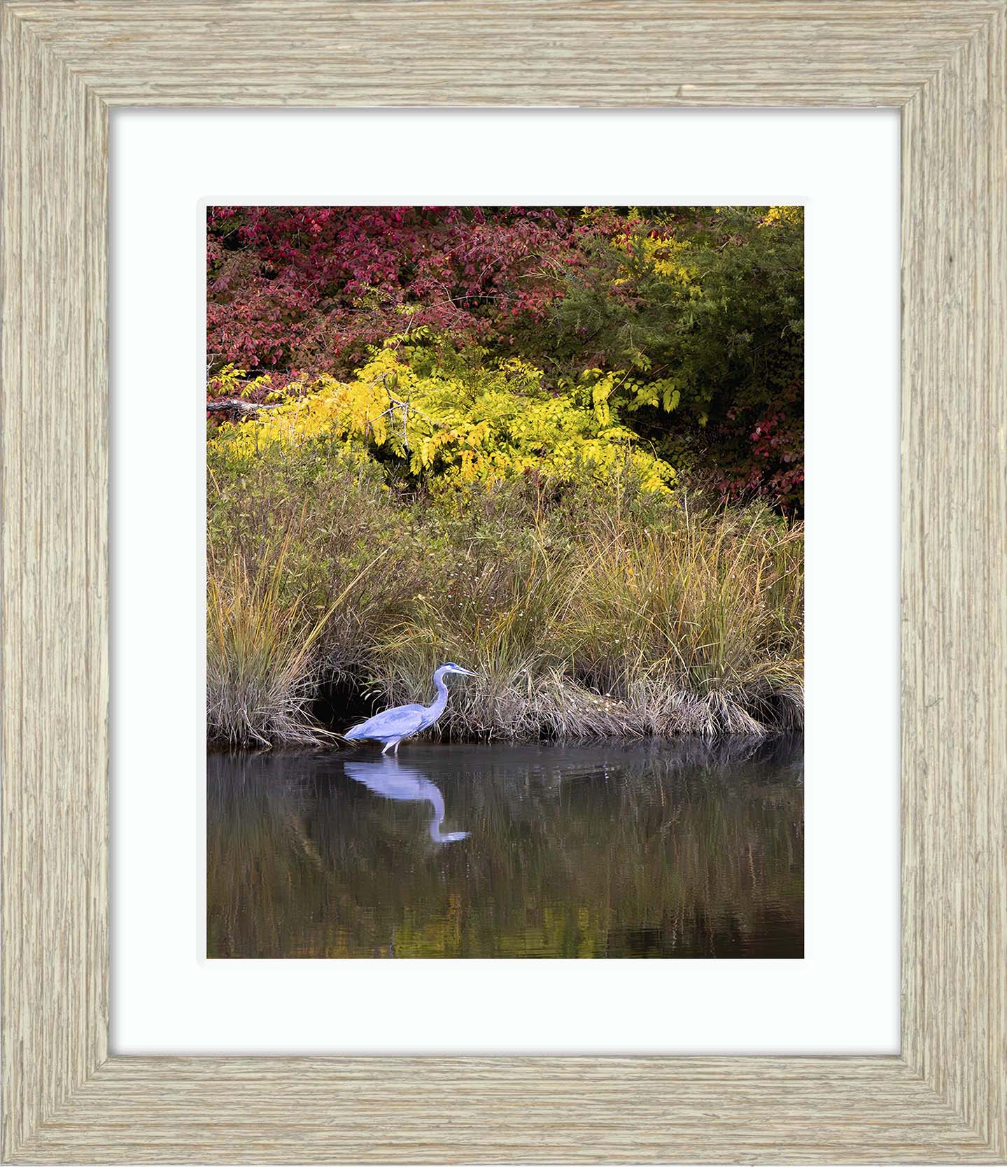 Cadle Creek Heron (Portrait) -- Digital Print