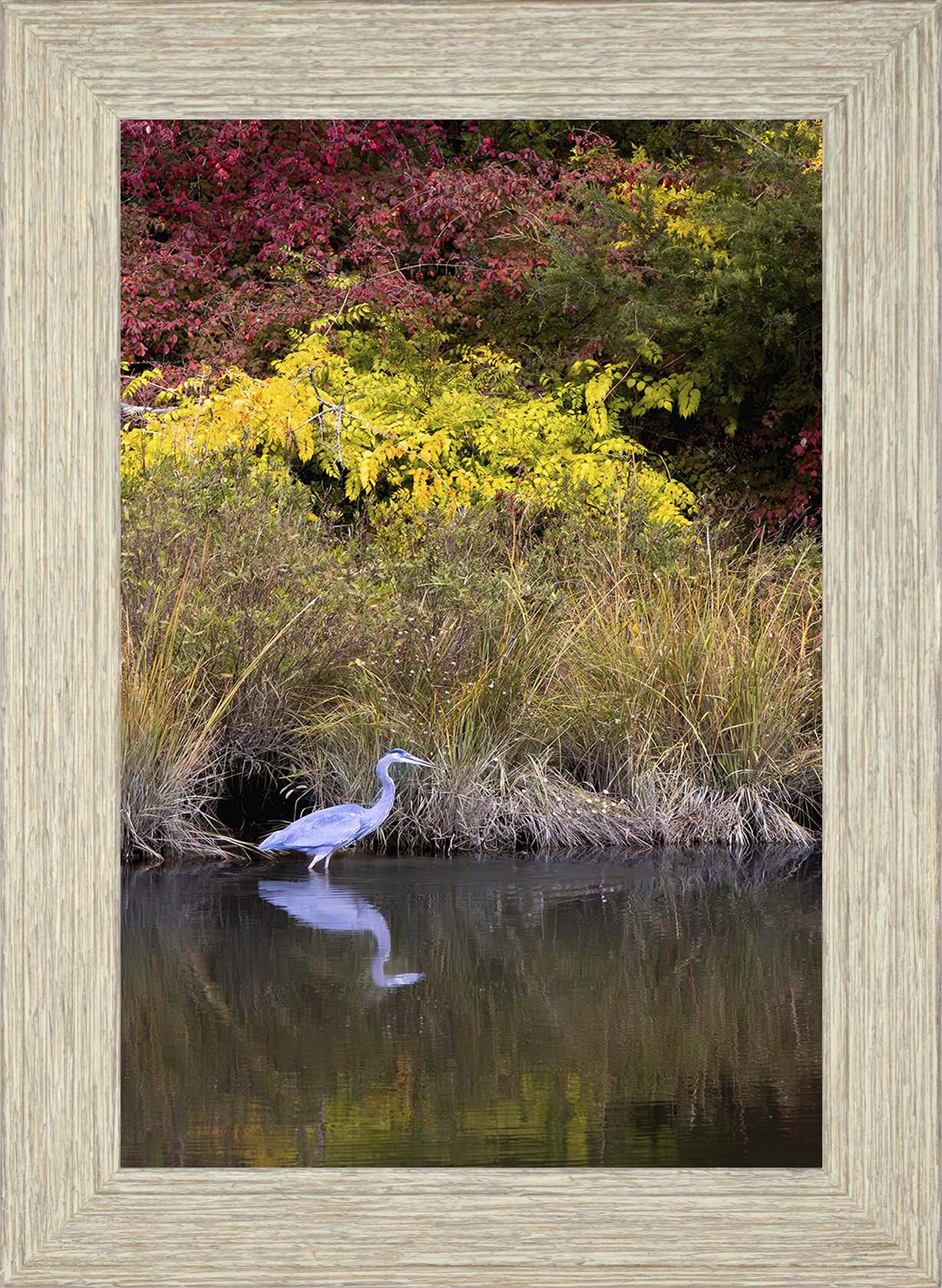 Cadle Creek Heron (Portrait) -- Digital Print