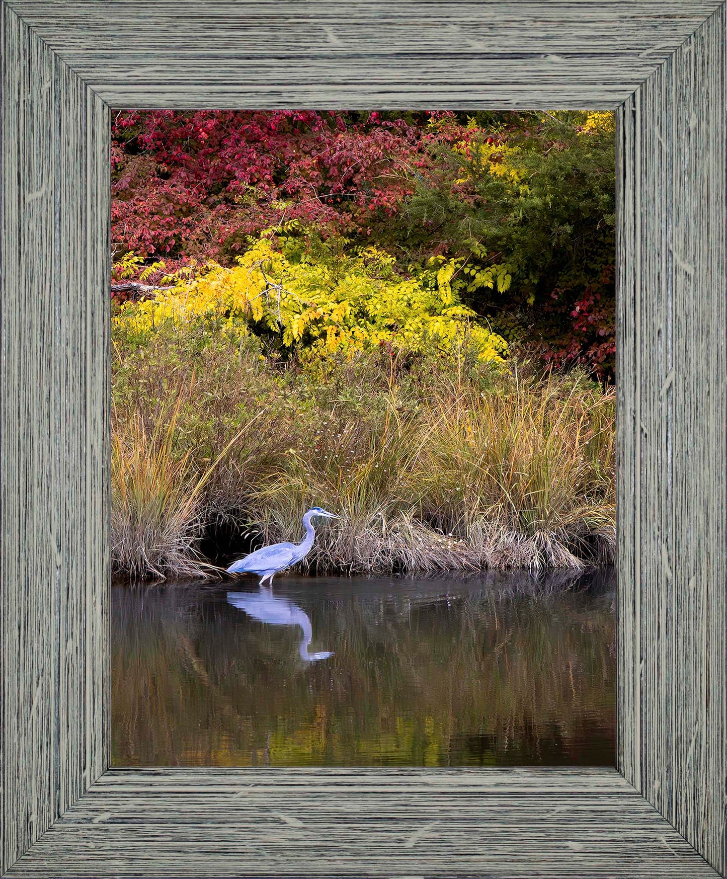 Cadle Creek Heron (Portrait) -- Digital Print