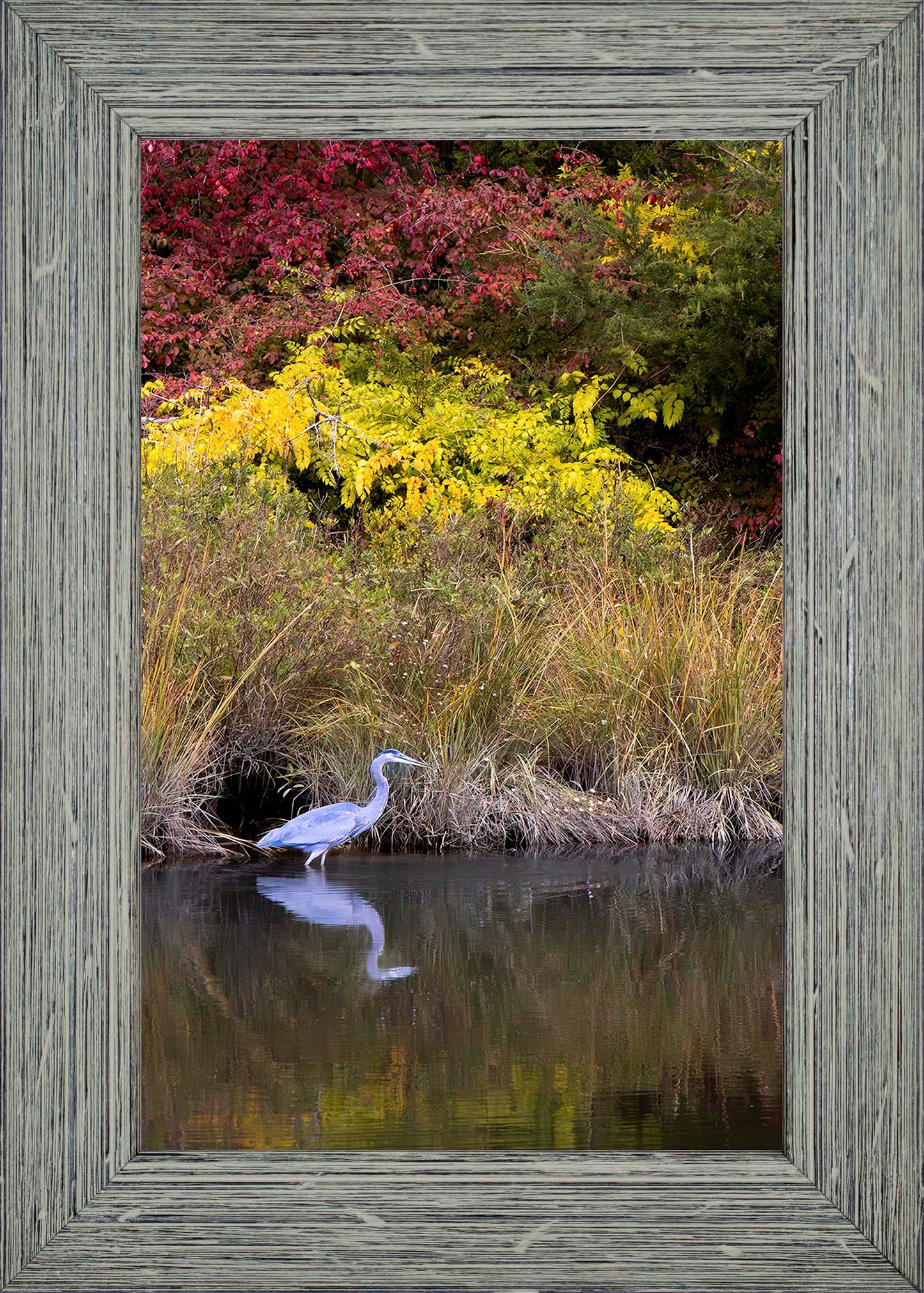 Cadle Creek Heron (Portrait) -- Digital Print