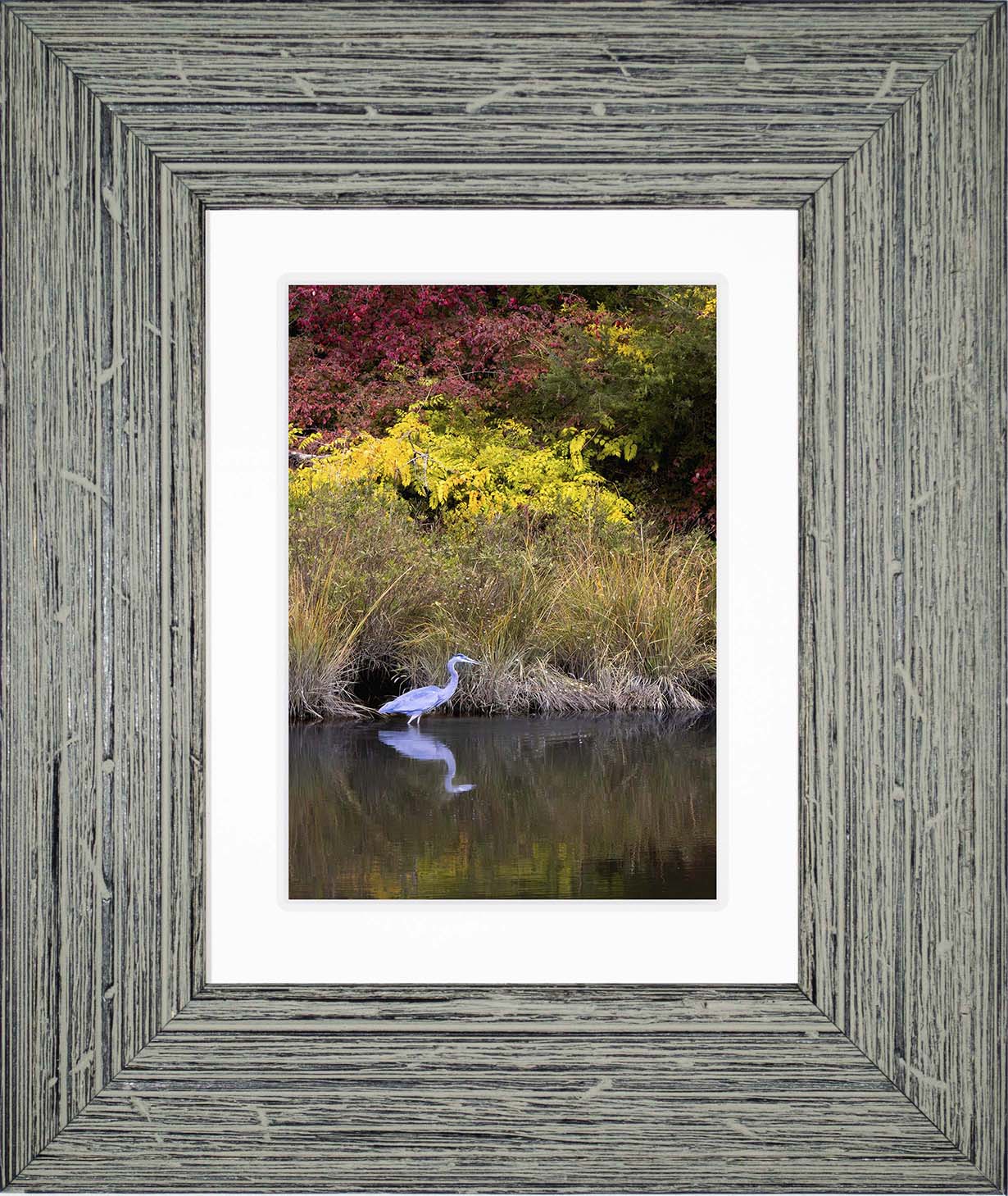 Cadle Creek Heron (Portrait) -- Digital Print