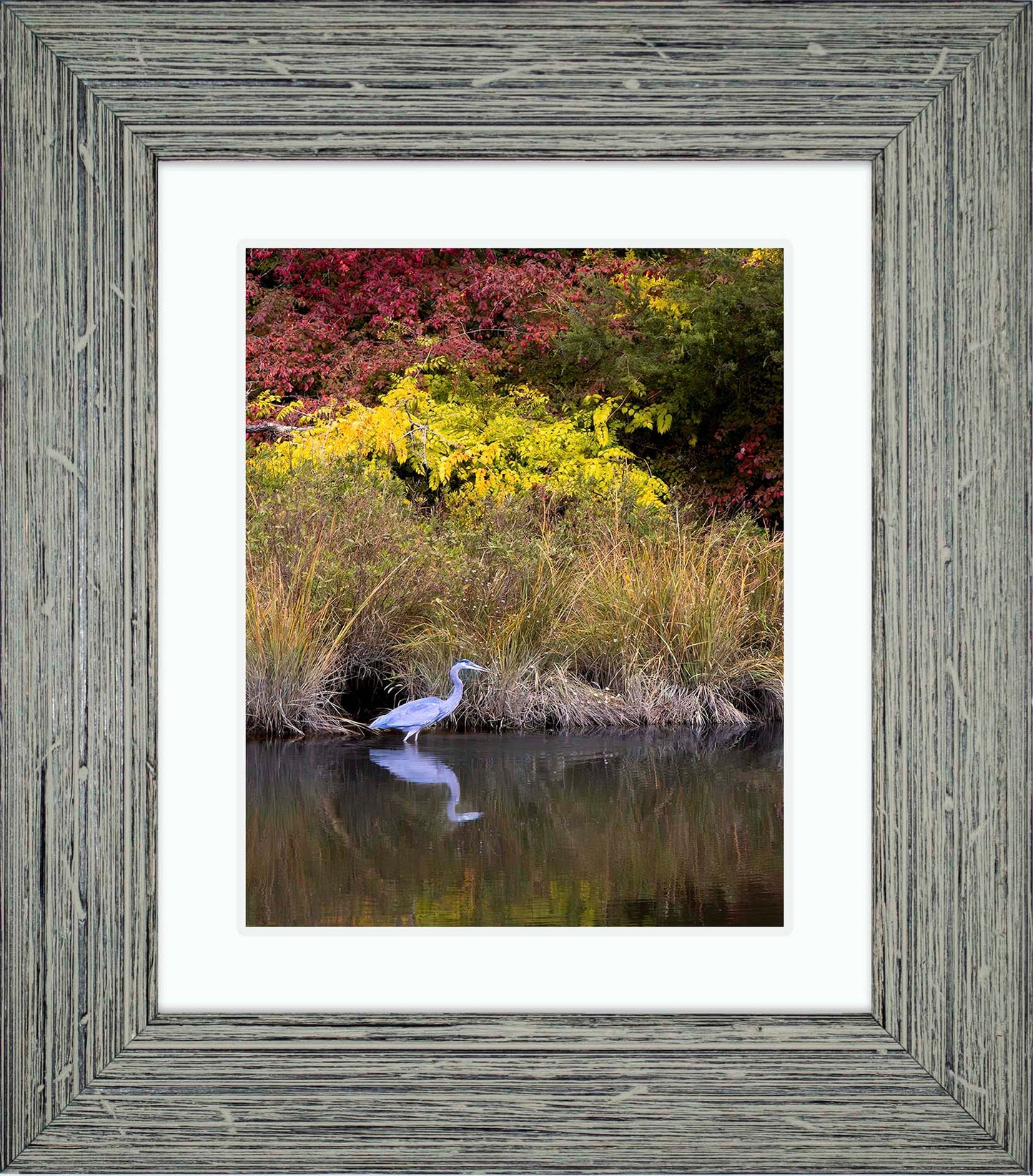 Cadle Creek Heron (Portrait) -- Digital Print