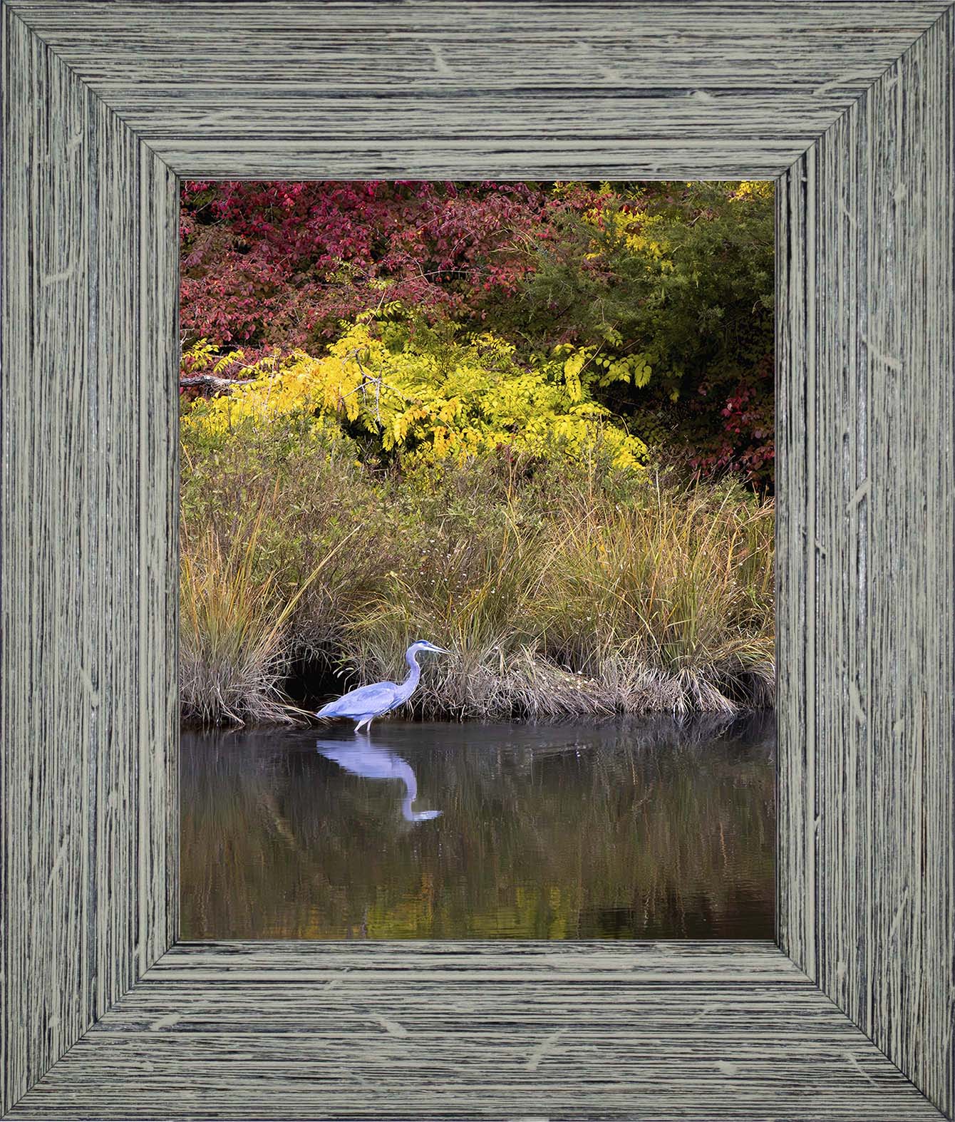 Cadle Creek Heron (Portrait) -- Digital Print