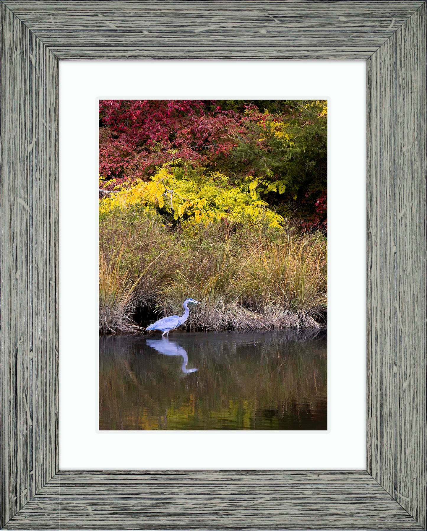 Cadle Creek Heron (Portrait) -- Digital Print